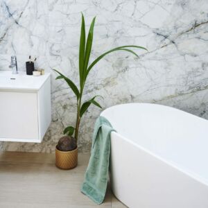 Barletta White Matt Porcelain