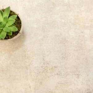 Florence Dawn Exterior Porcelain 20mm