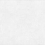 Moderna White Natural Porcelain