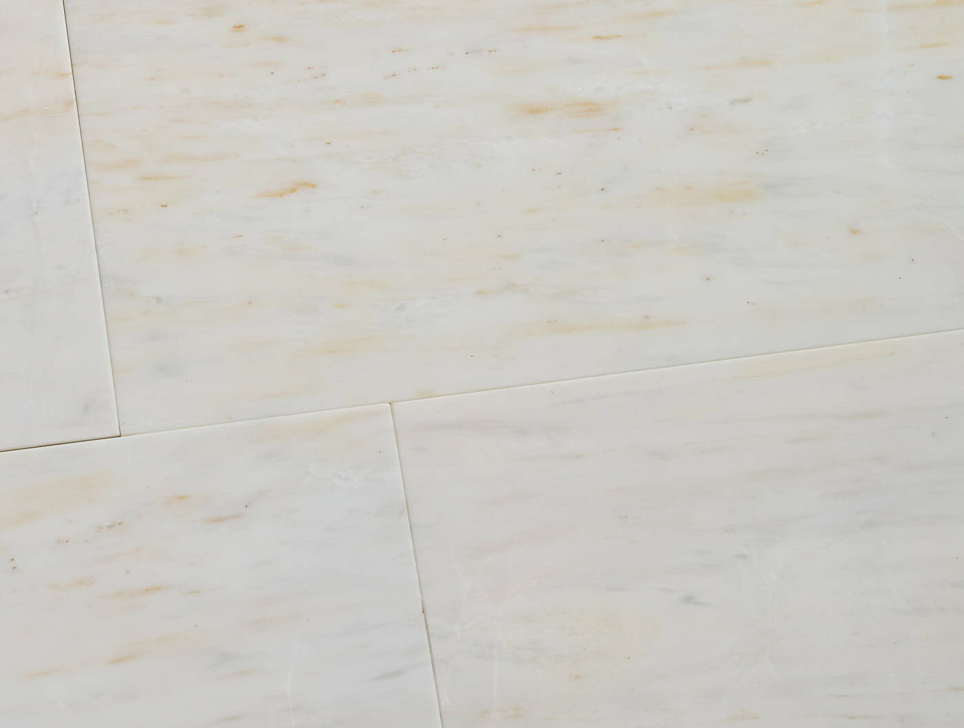 Calacatta Gold Honed Marble
