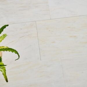 Calacatta Gold Honed Marble
